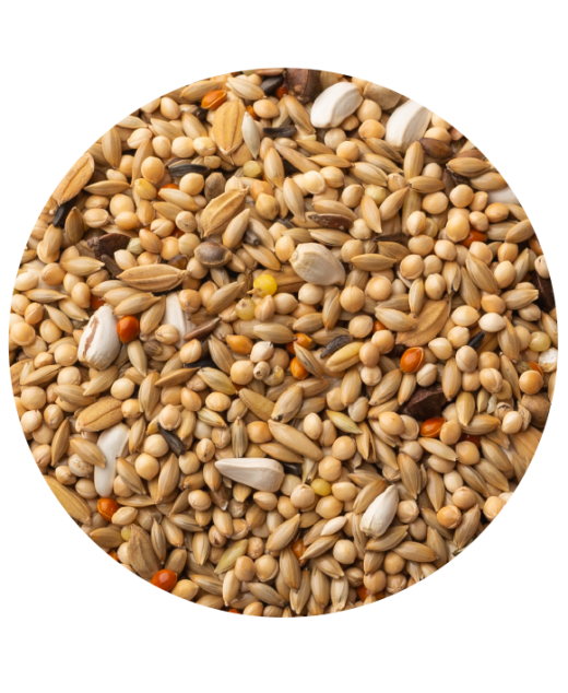 Mixt. Agaporni premium 20kg