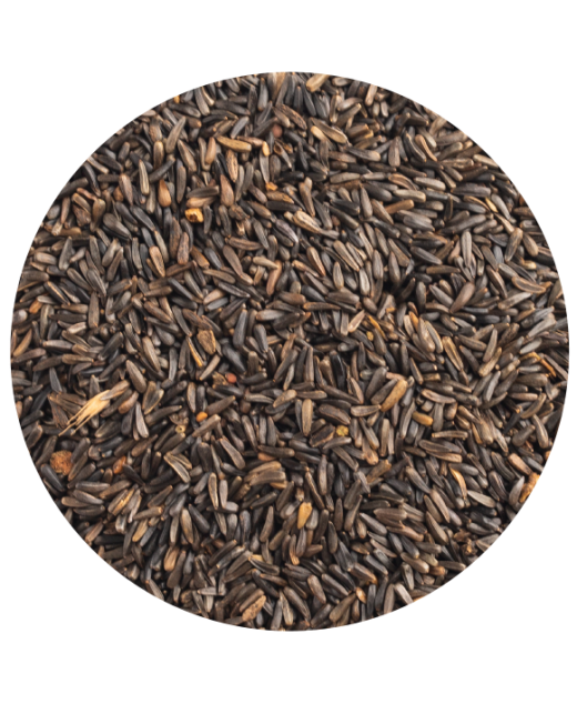 Negrillo 20Kg