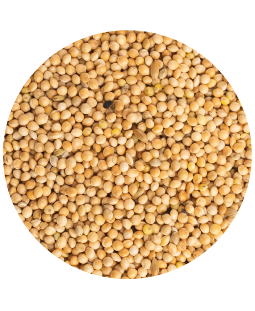 Mijo blanco 20Kg