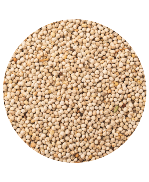 Perilla