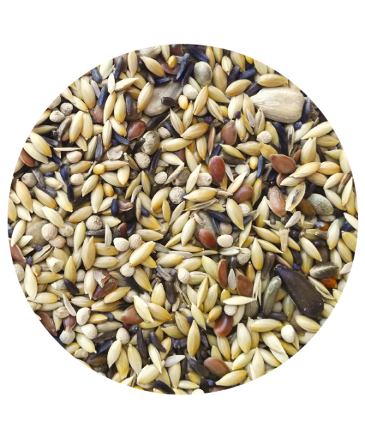 Jilgueros premium 20Kg