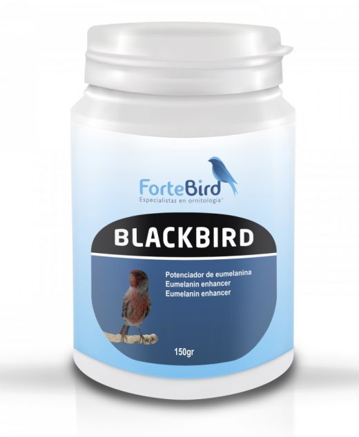 BlackBird | Potenciador de eumelaninas (Oxidación canarios negros) Formato: 150gr, 300gr